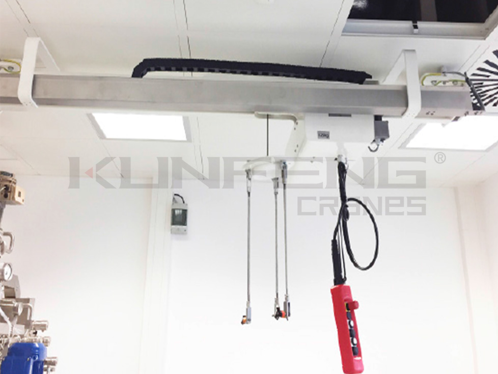 Clean room crane used in mini-environments