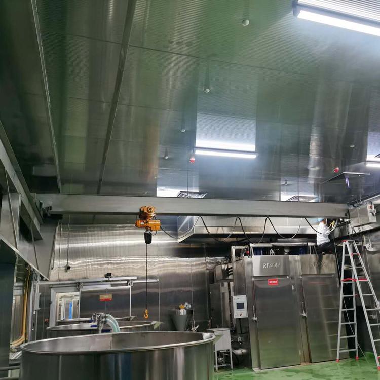 Stainless steel overhead crane