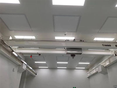 15 Tons Cleanroom Bridge Crane