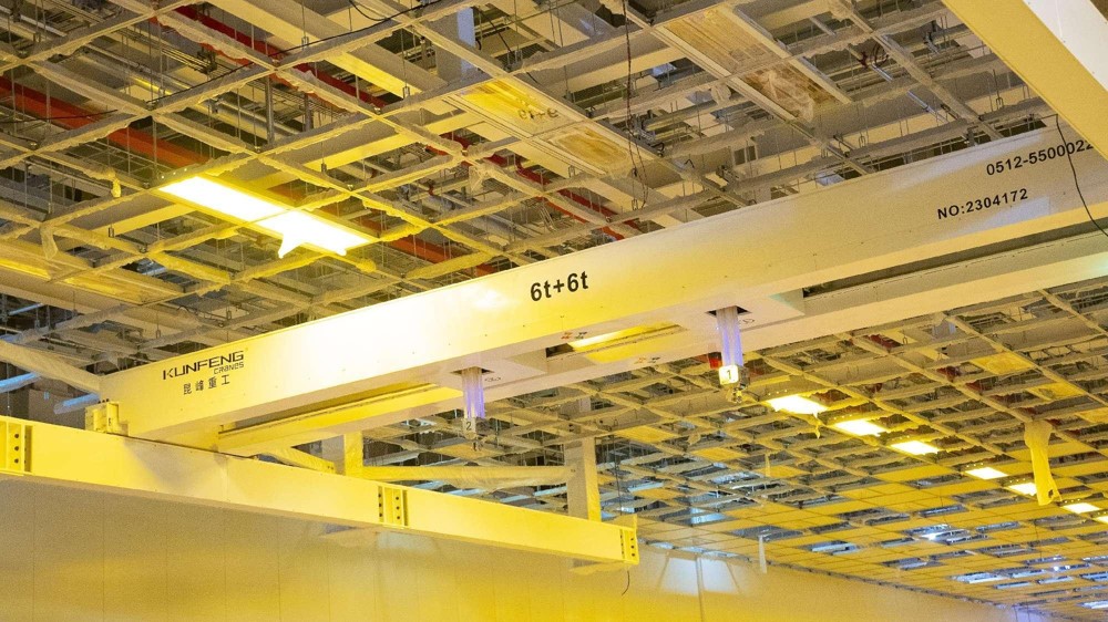12T Double Girder Cleanroom Overhead Crane