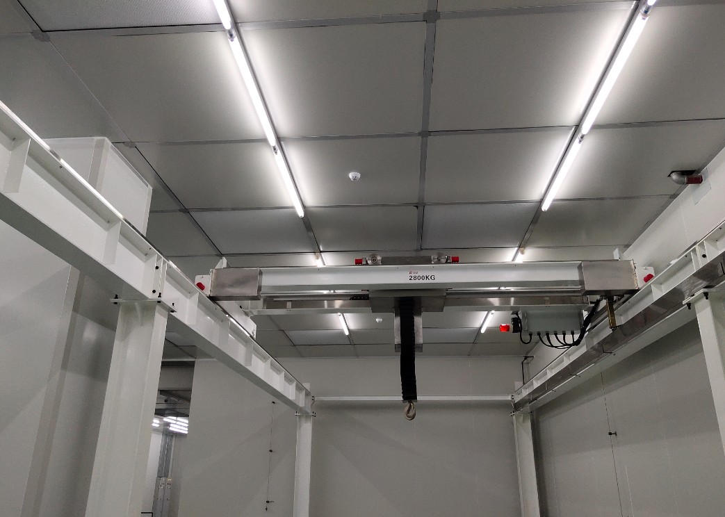 Electric double beam bridge crane